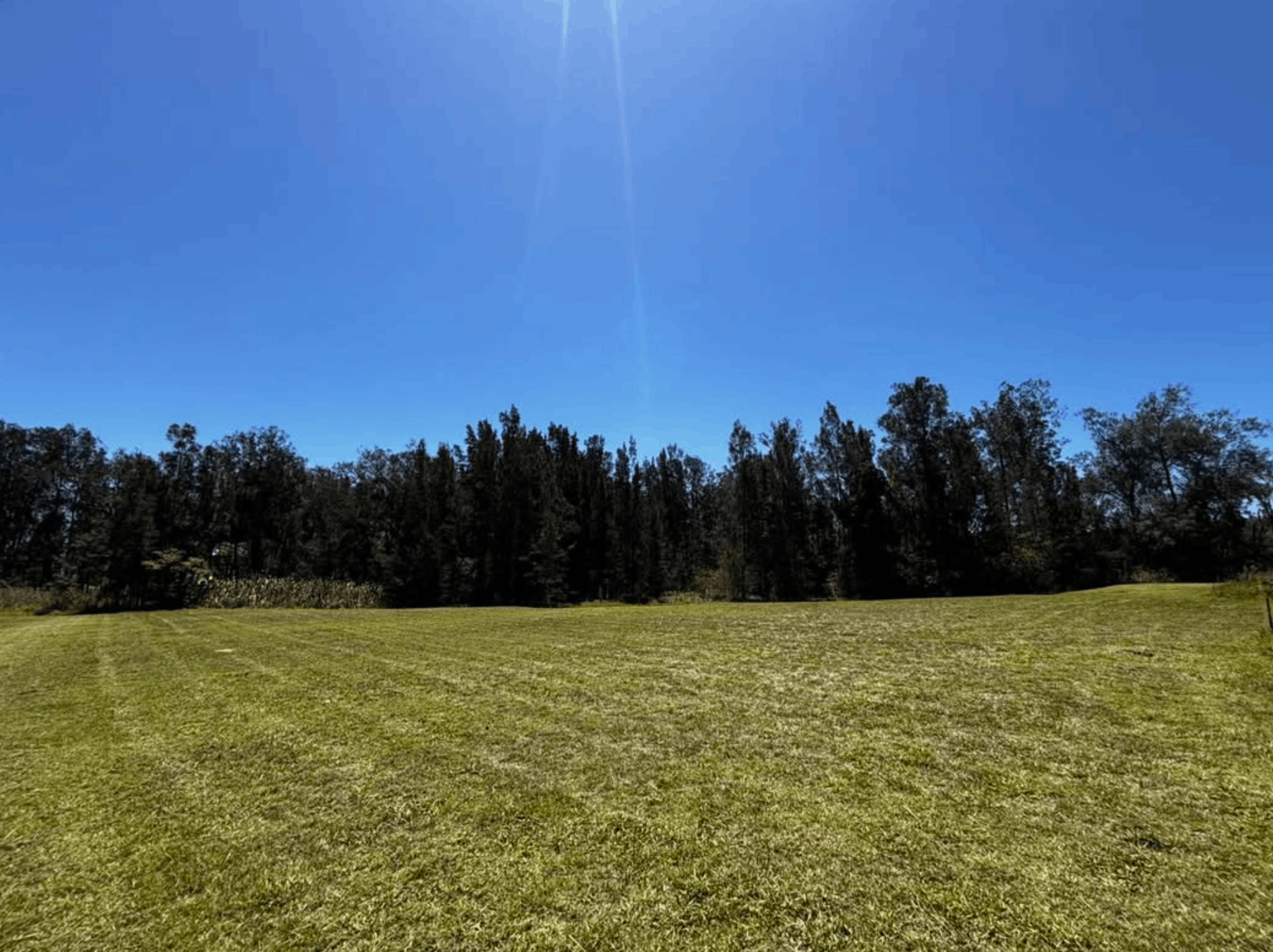 Sharp residential lawn with timber retaining wall in Greta