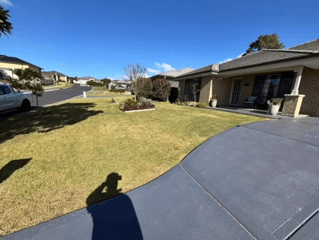 Backyard lawn cleaned up and mown in Greta